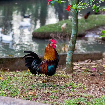 Polo Hotel Fazenda Indaiatuba Luaran gambar